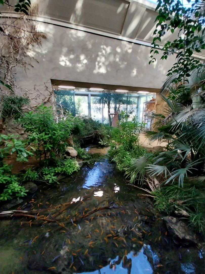 Birdhouse - African savannah - General view