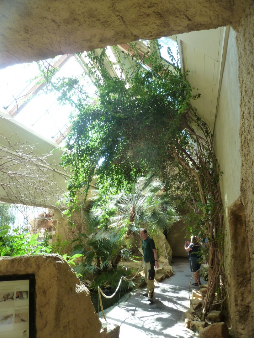 Birdhouse - African savannah - General view