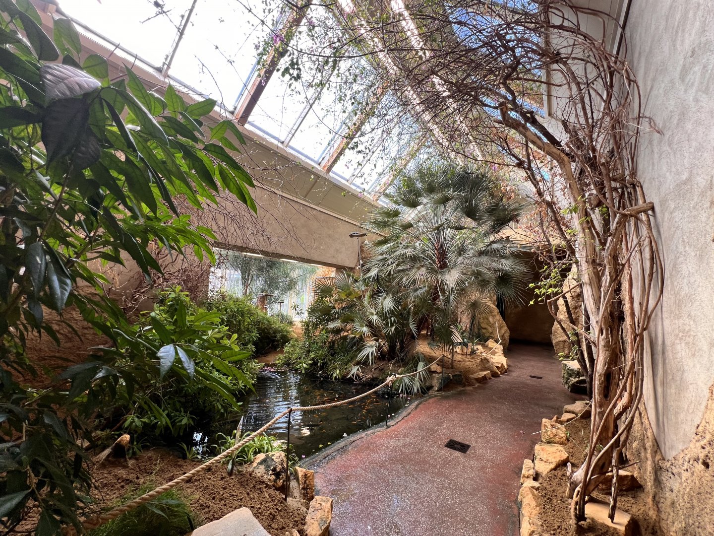 Birdhouse- African Walk-Through