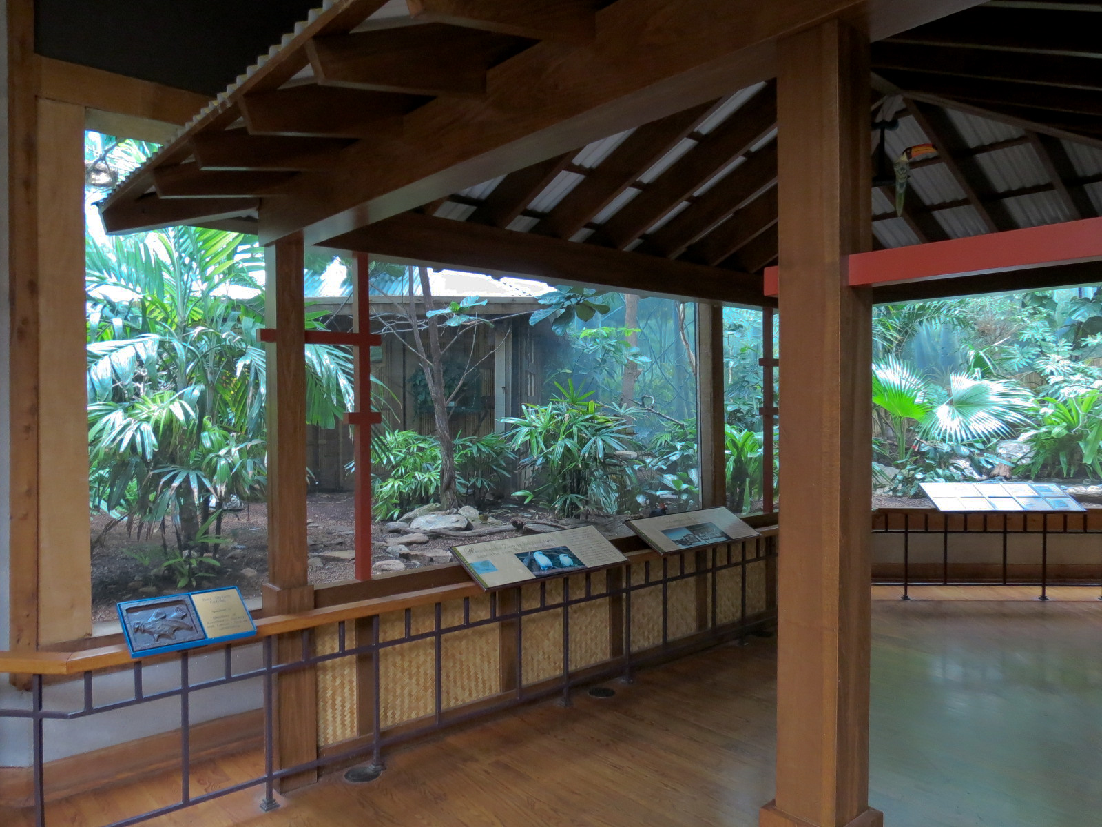 Birdhouse - Asian Trek - Bali Mynah and Others Exhibit