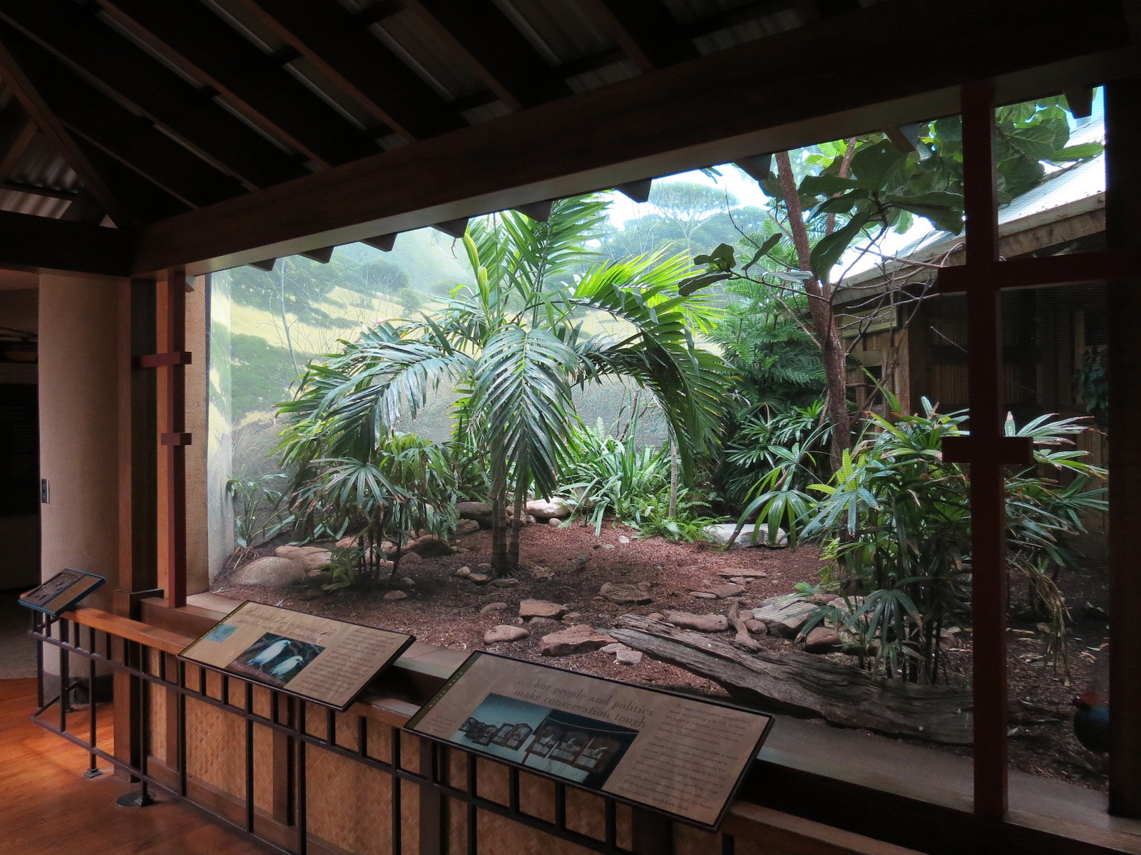 Birdhouse - Asian Trek - Bali Mynah and Others Exhibit