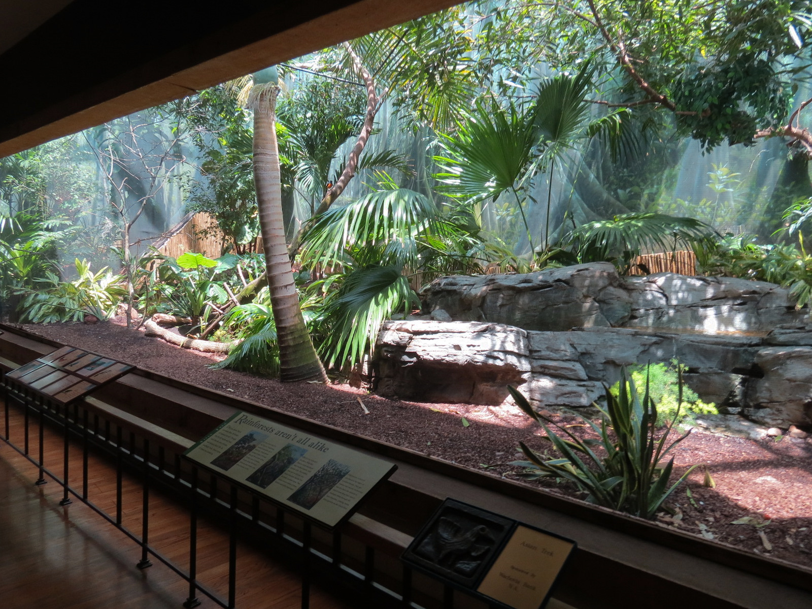 Birdhouse - Asian Trek - Victoria Crowned Pigeon and Others Exhibit