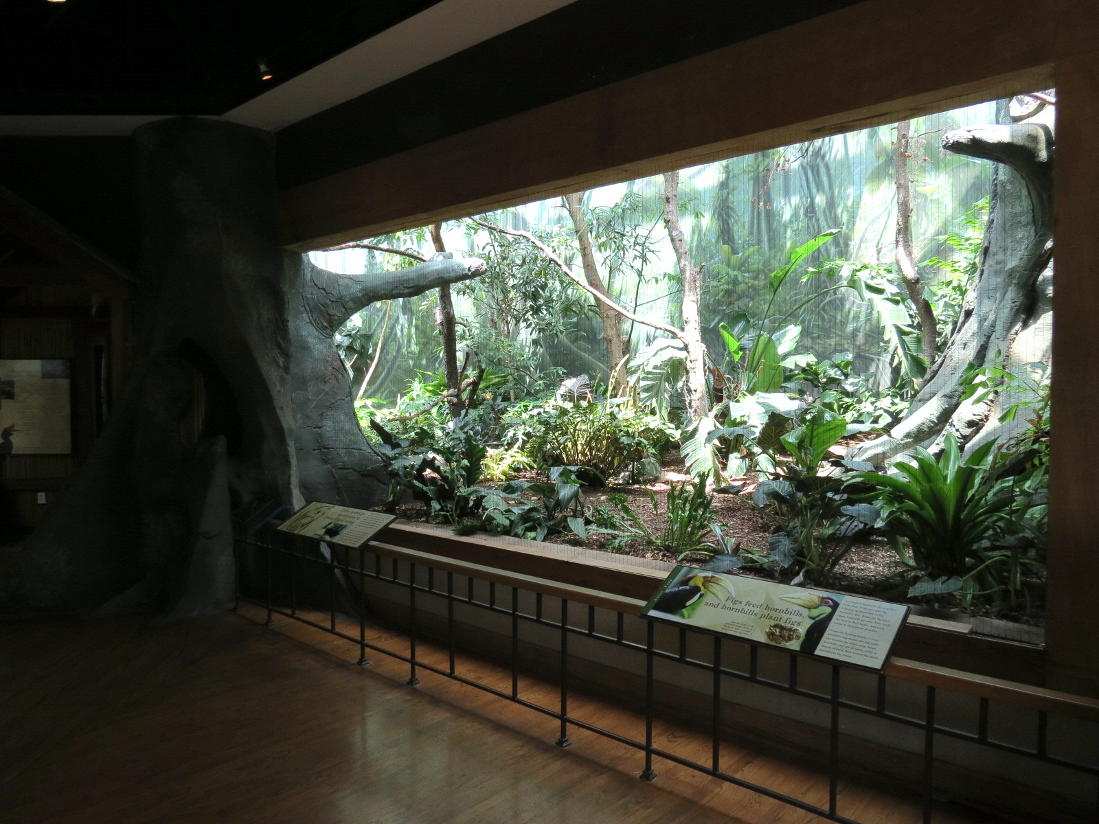 Birdhouse - Asian Trek - Wreathed Hornbill Exhibit