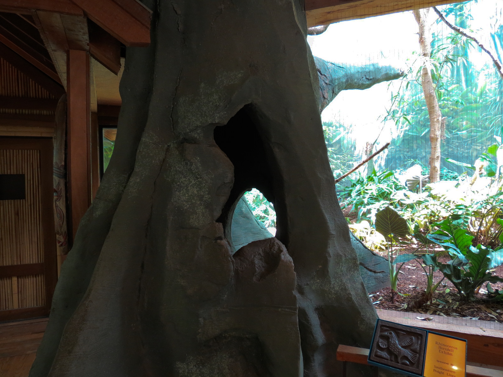 Birdhouse - Asian Trek - Wreathed Hornbill Exhibit