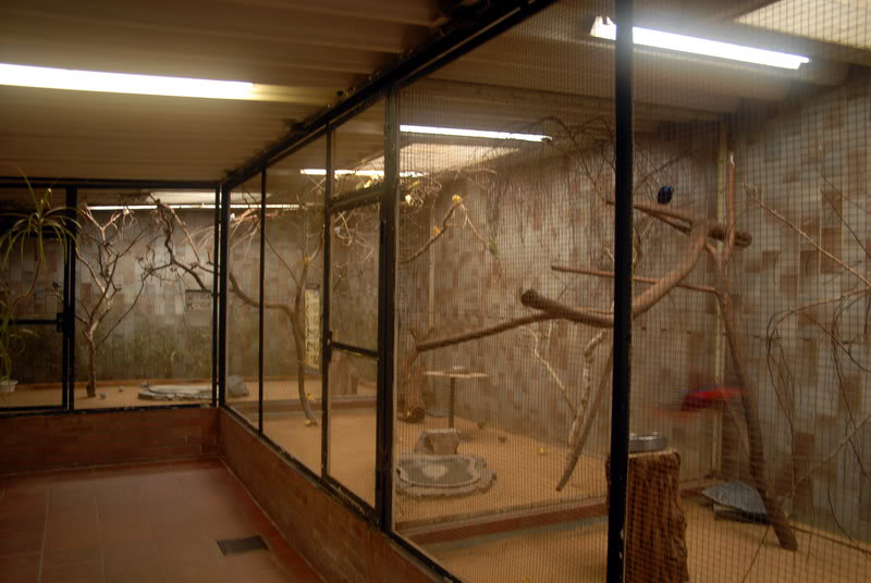 Birdhouse at solingen