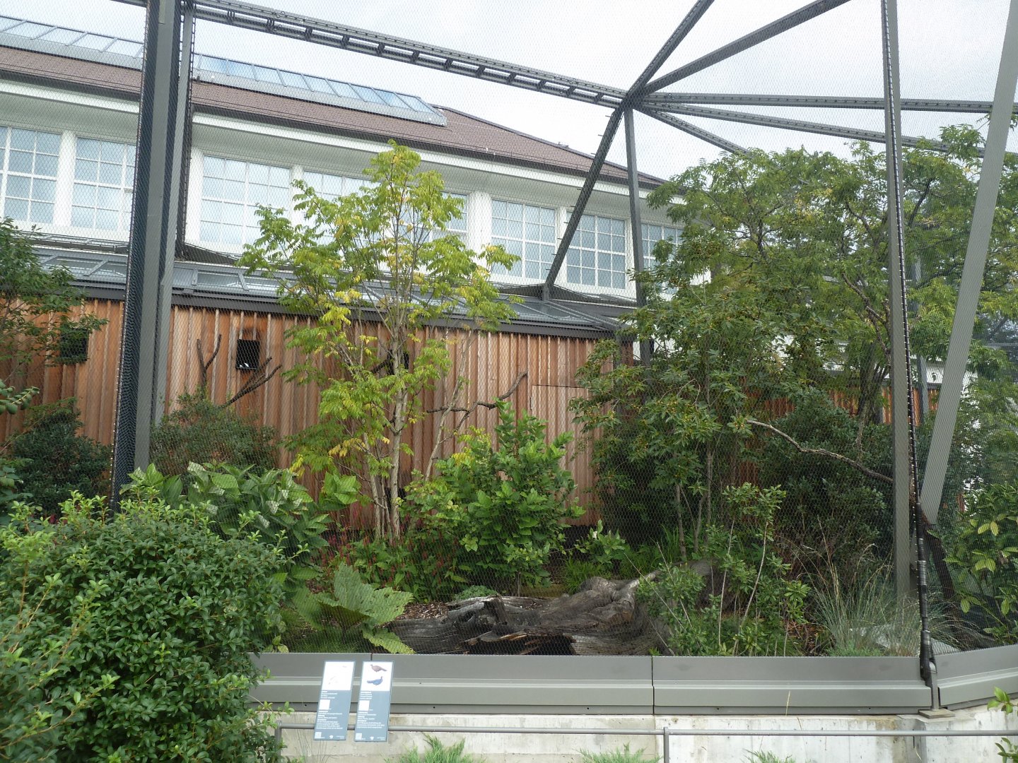 Birdhouse - Bali Myna and Vietnam Pheasant aviary