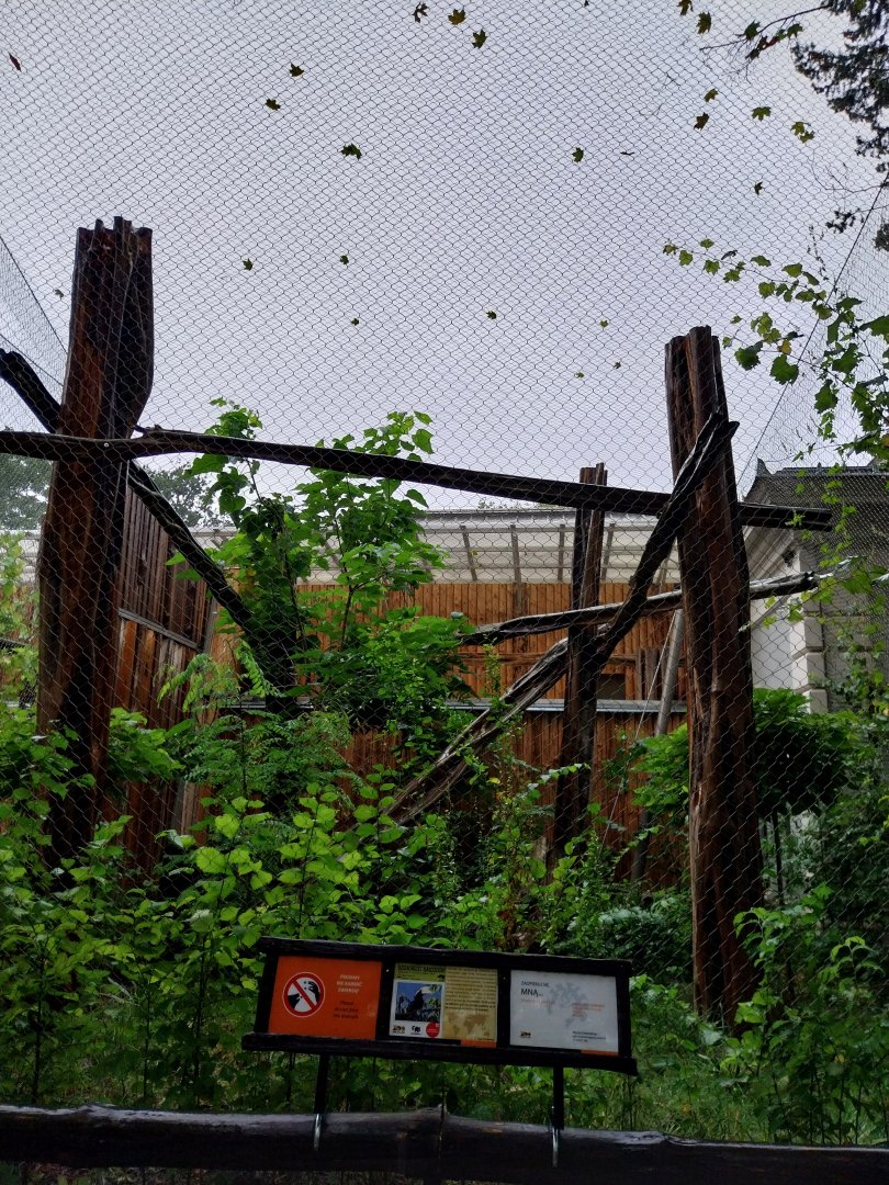 Birdhouse - Black hornbill aviary