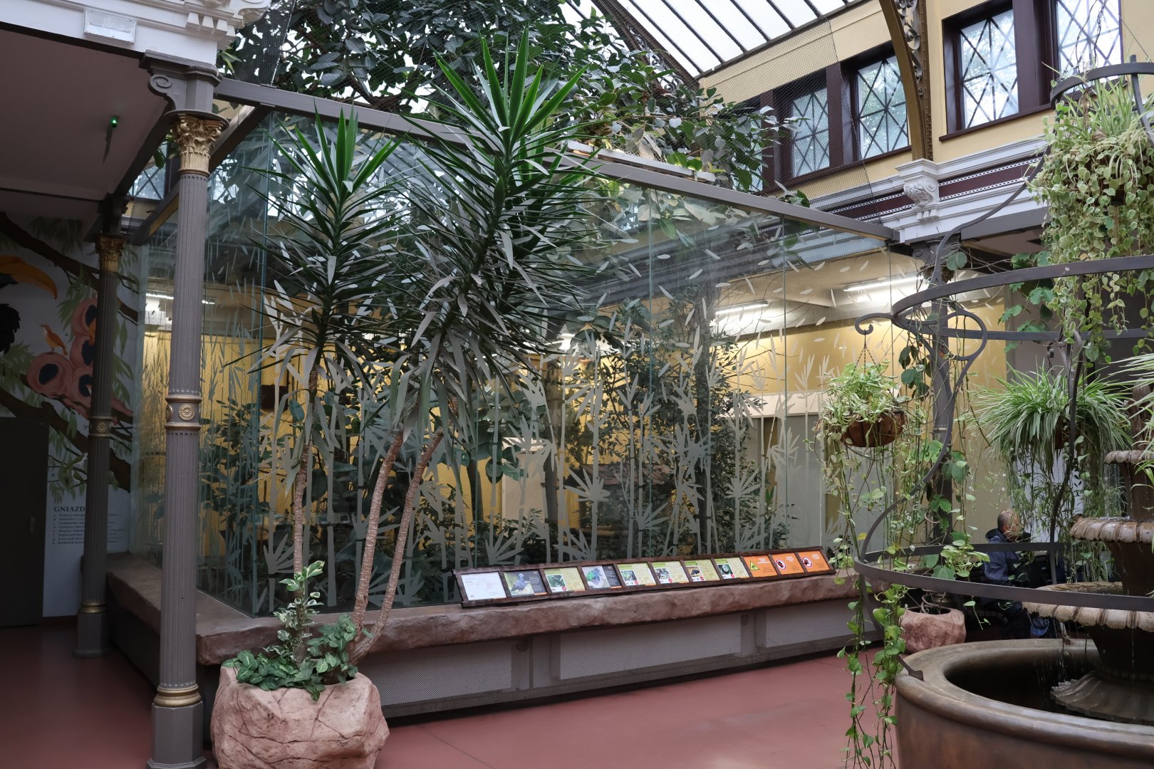 Birdhouse - Central aviary (South America)