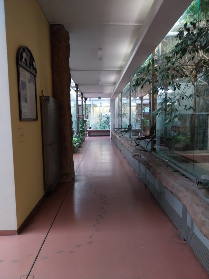 Birdhouse - General view