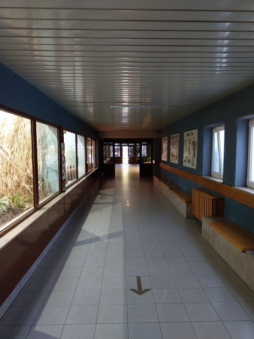 Birdhouse - Interior