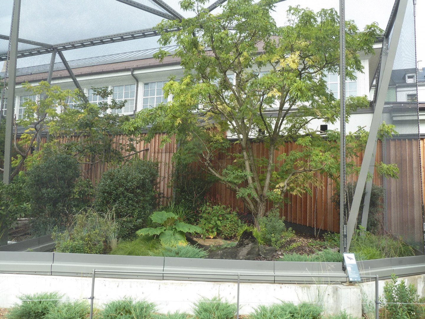 Birdhouse - Intermediate Hill Myna aviary