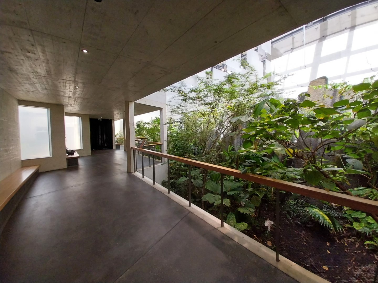 Birdhouse - Jewels of the air