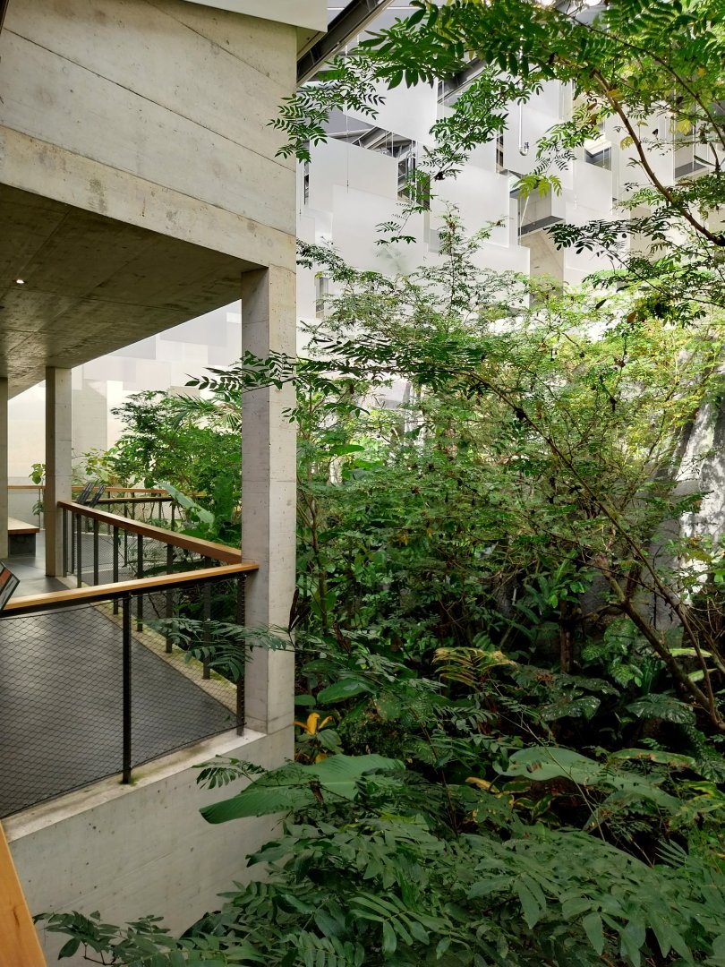 Birdhouse - Jewels of the air