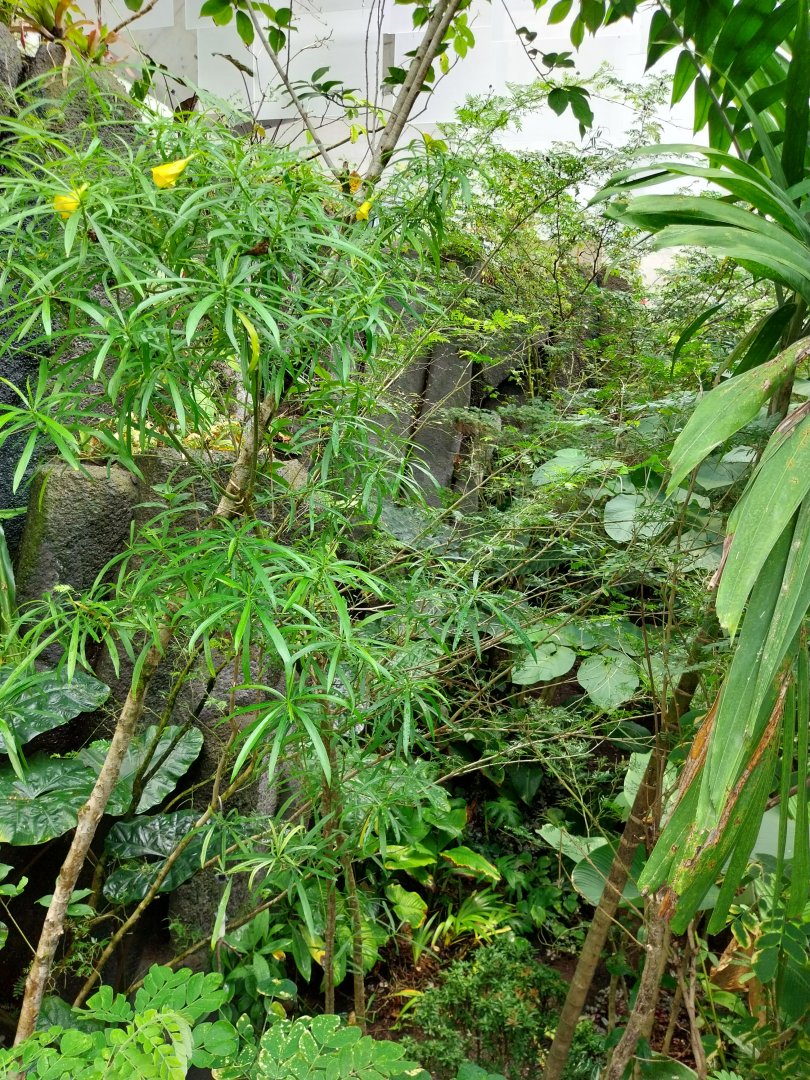 Birdhouse - Jewels of the air