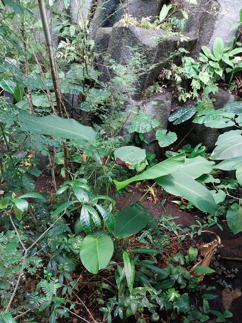 Birdhouse - Jewels of the air