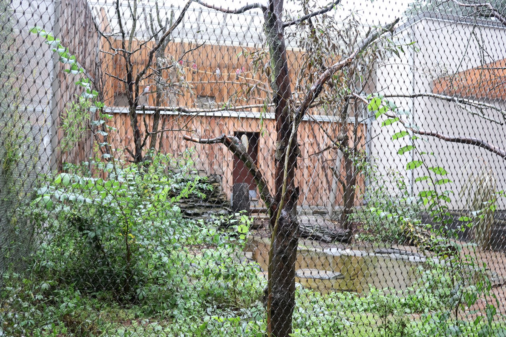 Birdhouse - Kakadu aviary