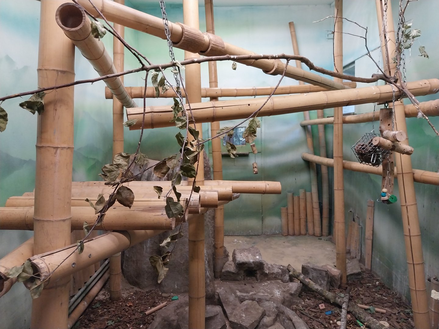 Birdhouse - Kea (Nestor notabilis) aviary