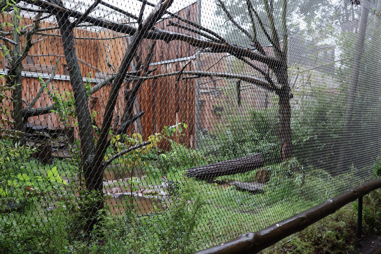 Birdhouse - Macaw aviary