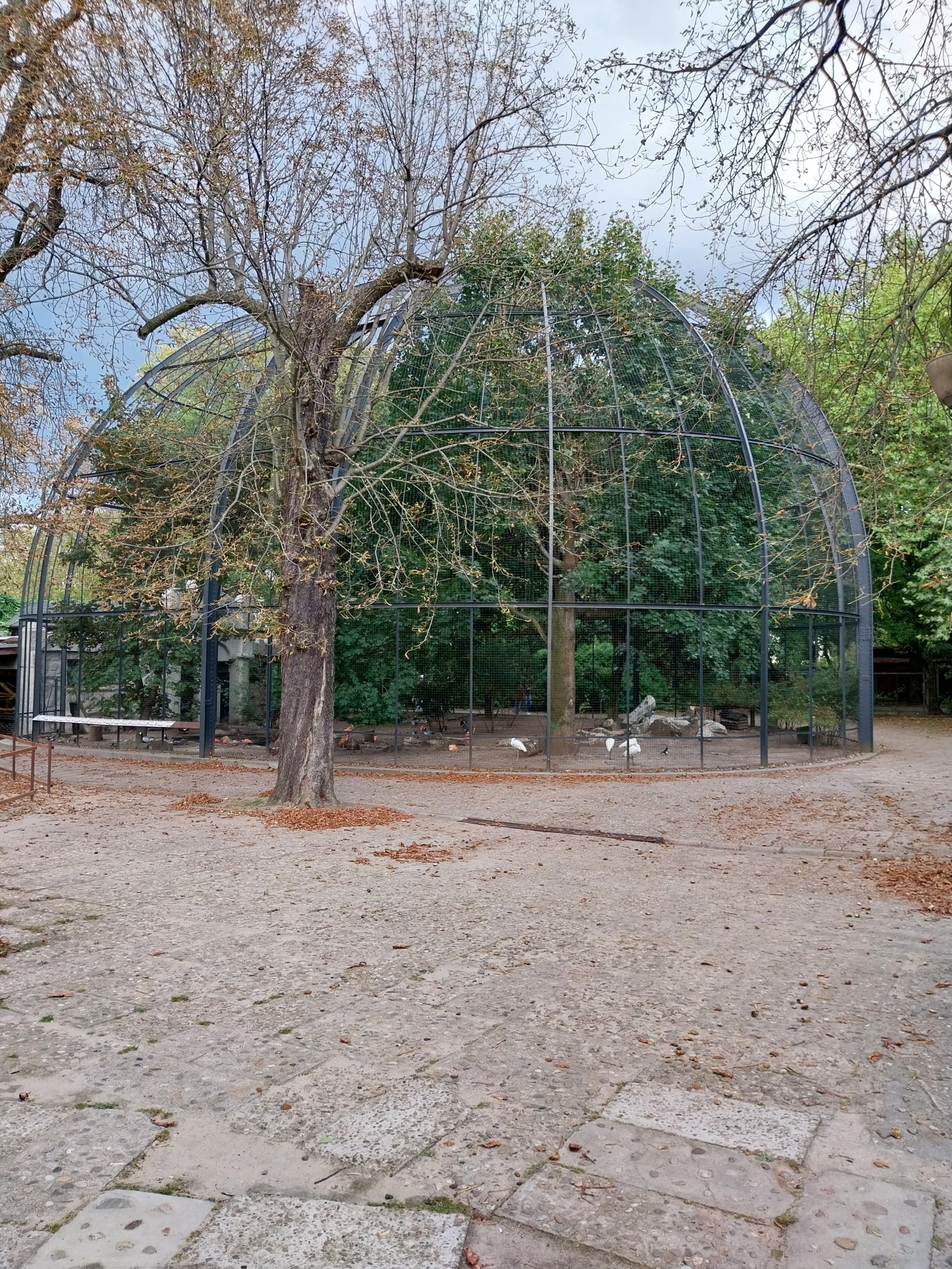 Birdhouse  - Main Aviary