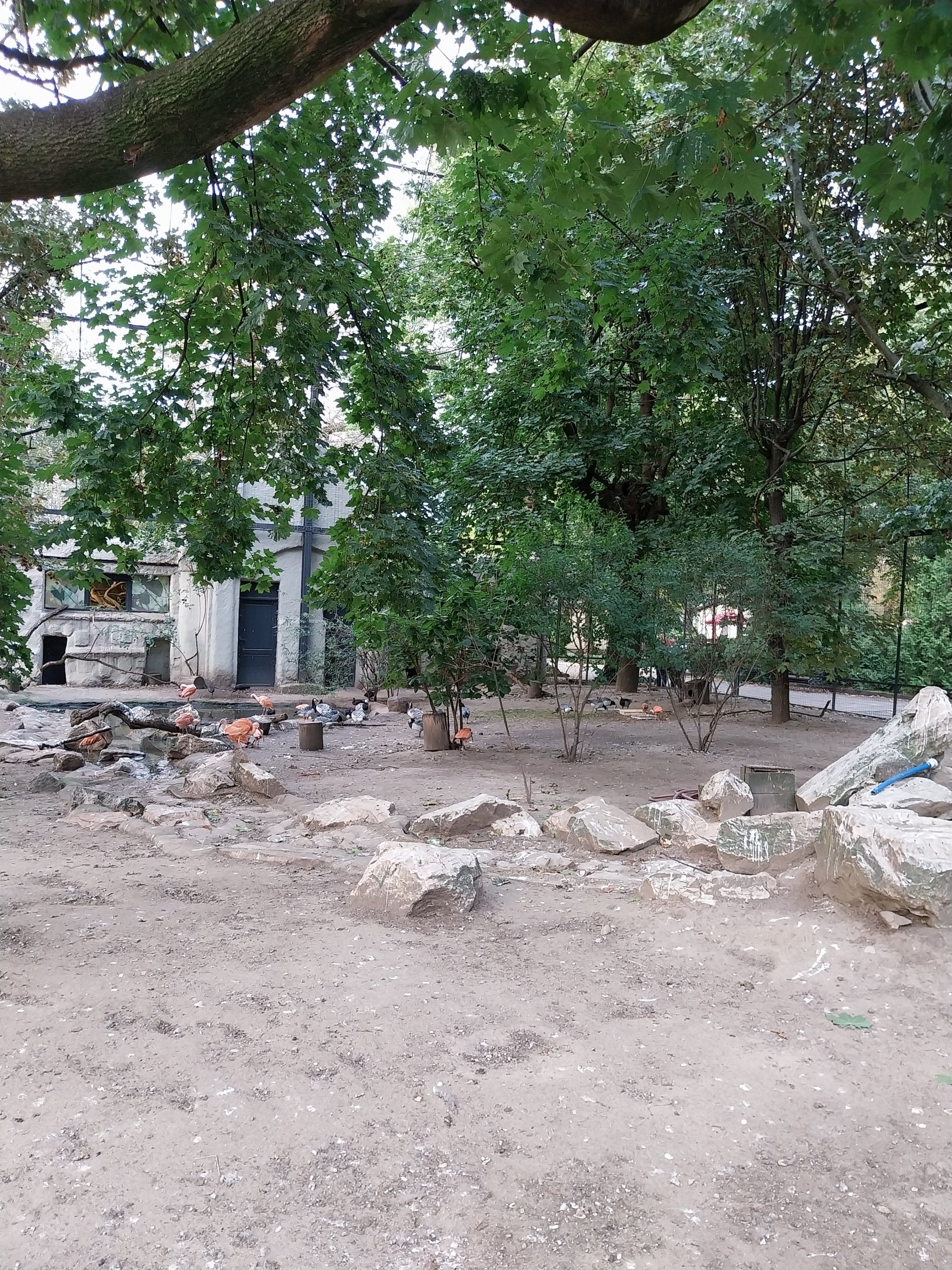 Birdhouse  - Main Aviary