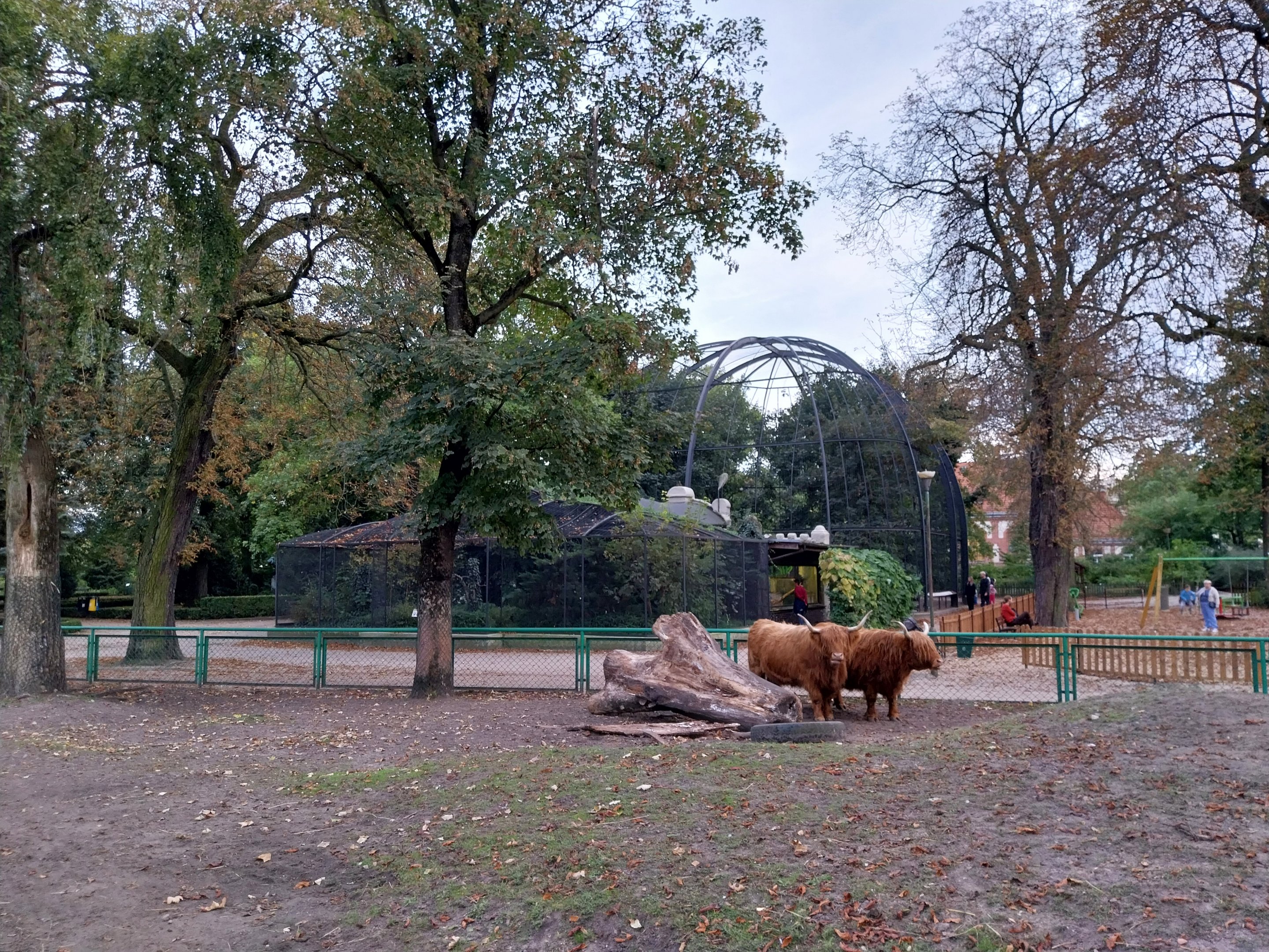 Birdhouse  - Main Aviary