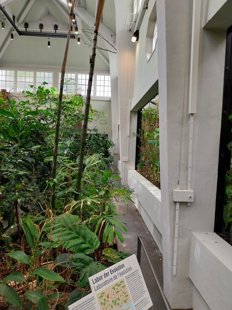 Birdhouse - Main hall - Gallery aviaries