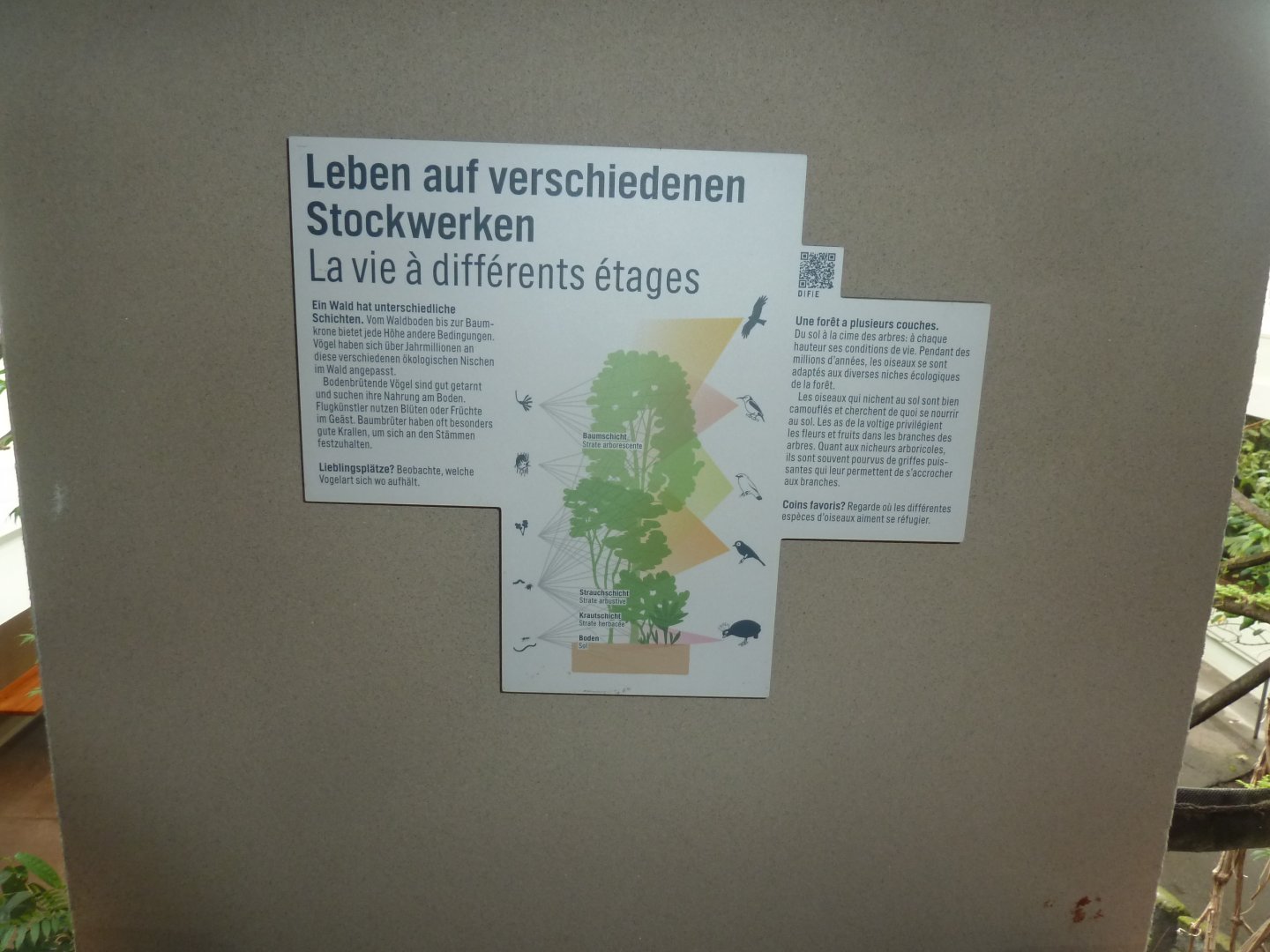 Birdhouse - Main hall - Information sign at the two-storey viewing platforms