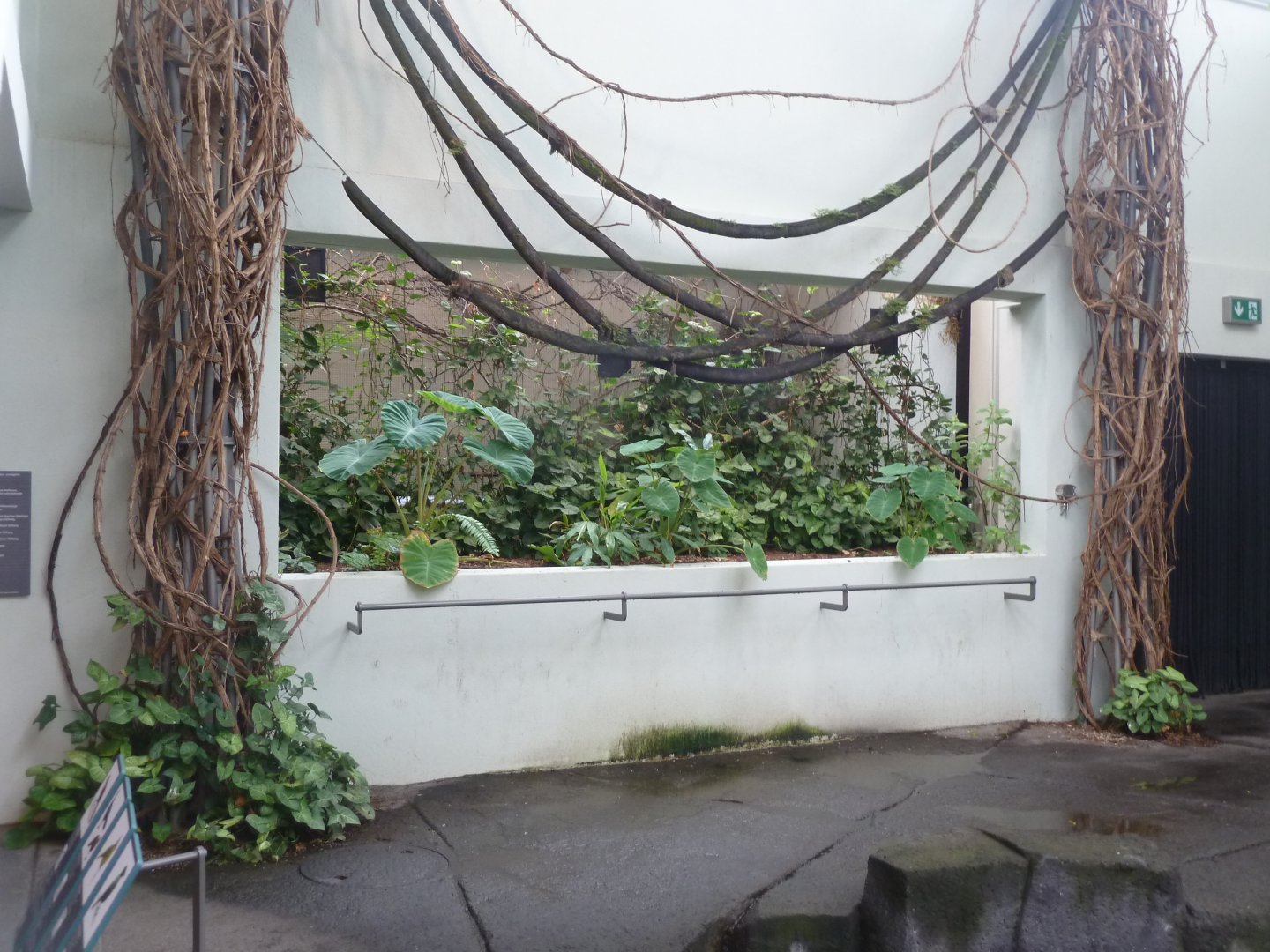 Birdhouse - Main hall - Kilimanjaro white-eye refuge aviary