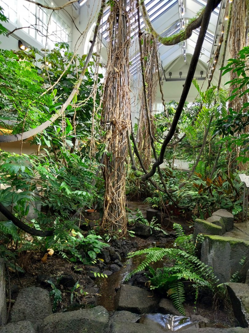 Birdhouse - Main hall