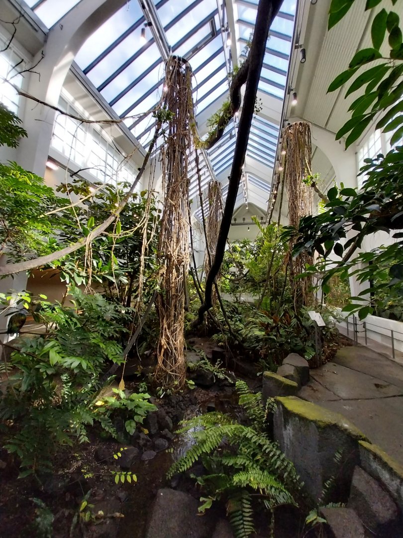 Birdhouse - Main hall