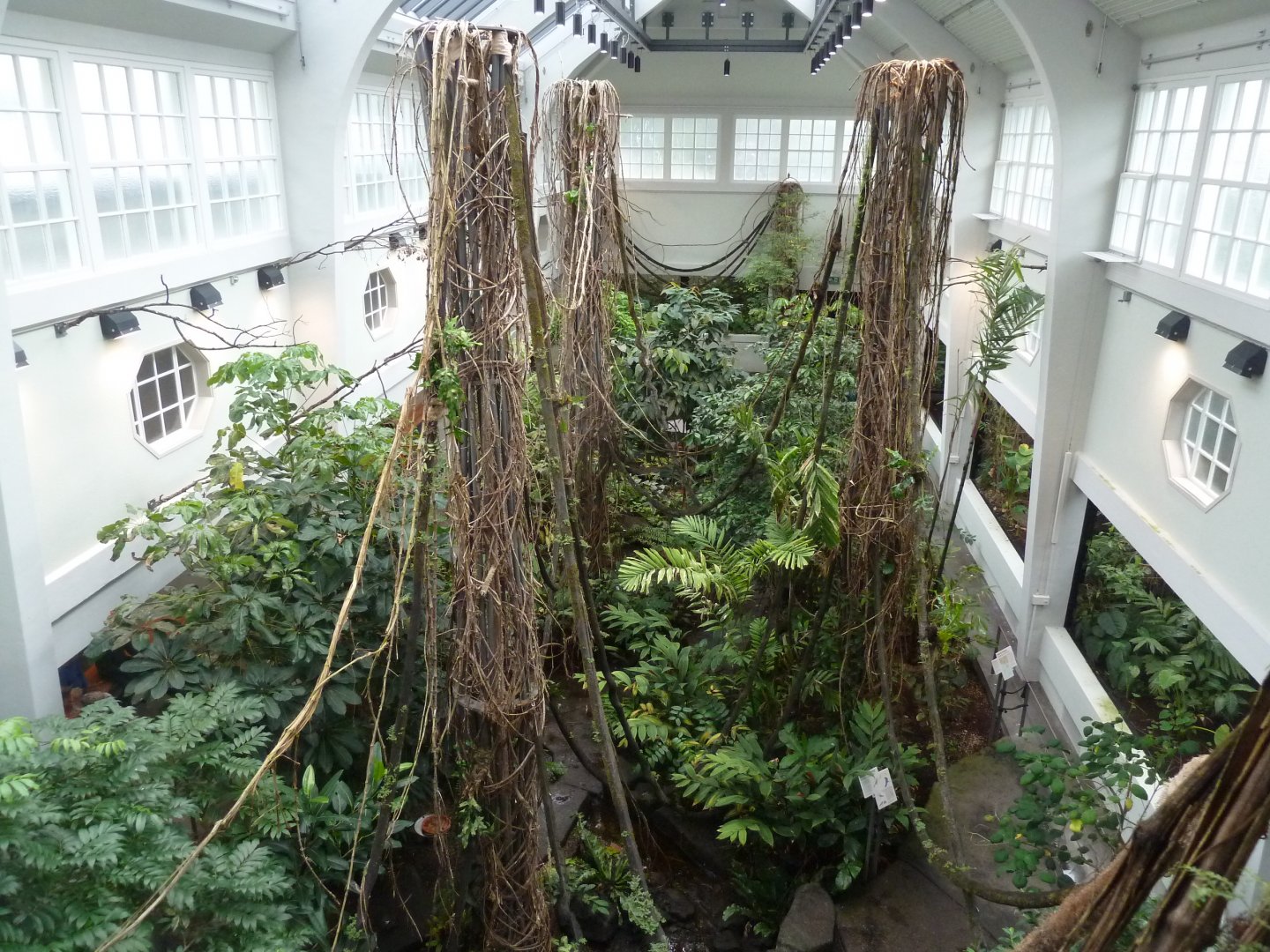 Birdhouse - Main hall