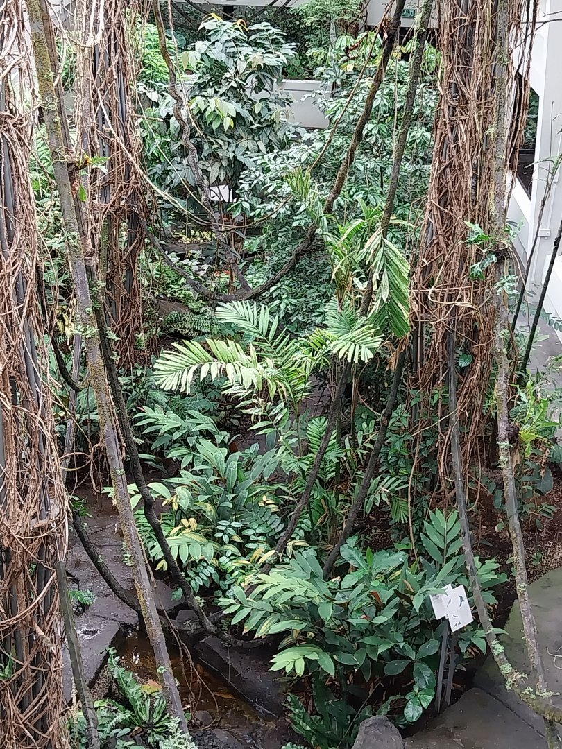 Birdhouse - Main hall