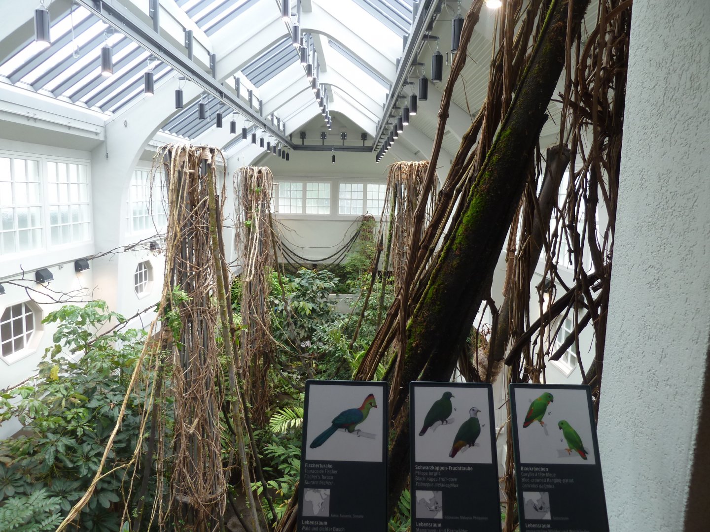 Birdhouse - Main hall