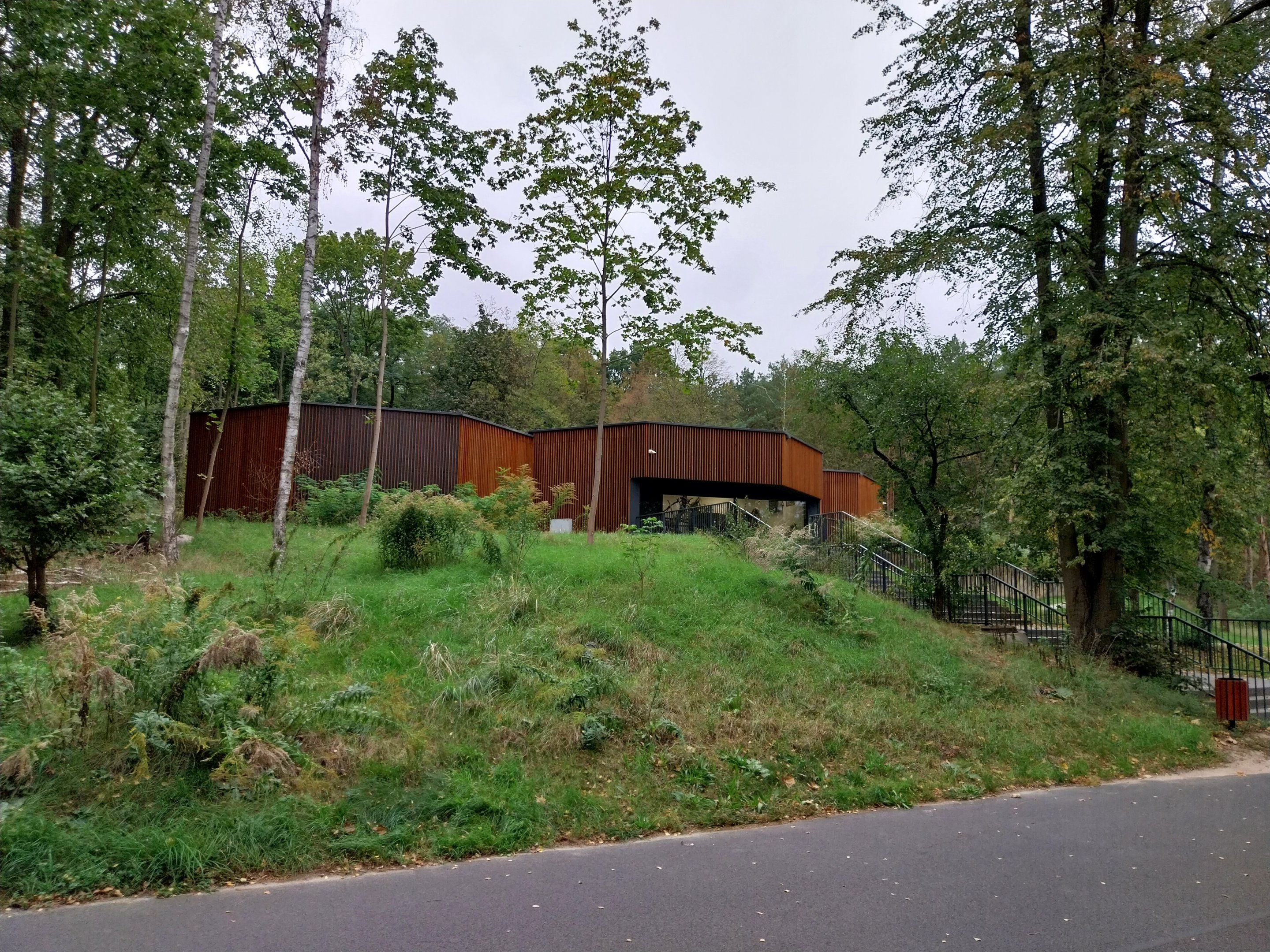 Birdhouse - Montserrat Oriole (Icterus oberi) and Crested Partridge (Rollulus roulroul)