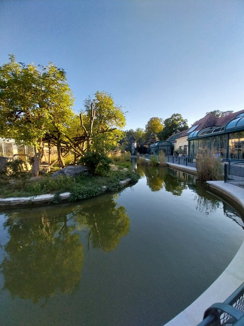 Birdhouse outside and vari island