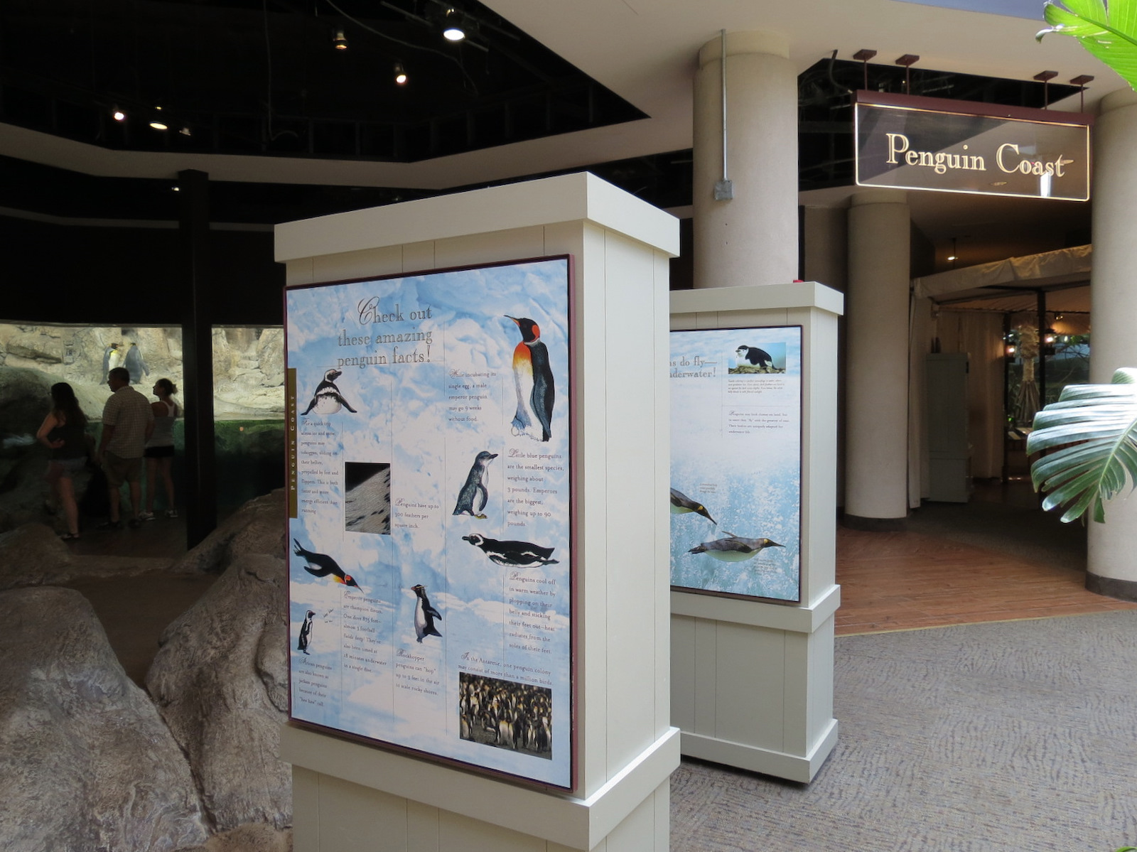 Birdhouse - Penguin Coast Exhibit - Entry Graphics