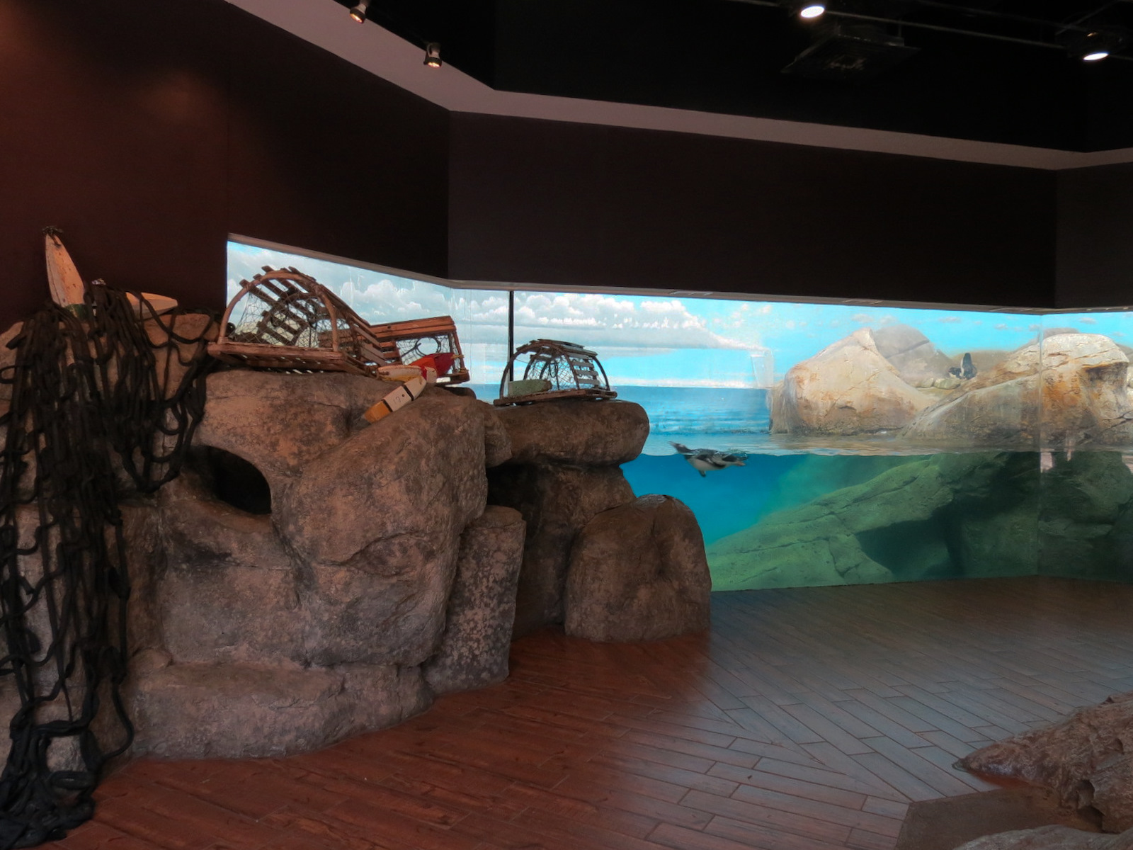 Birdhouse - Penguin Coast Exhibit