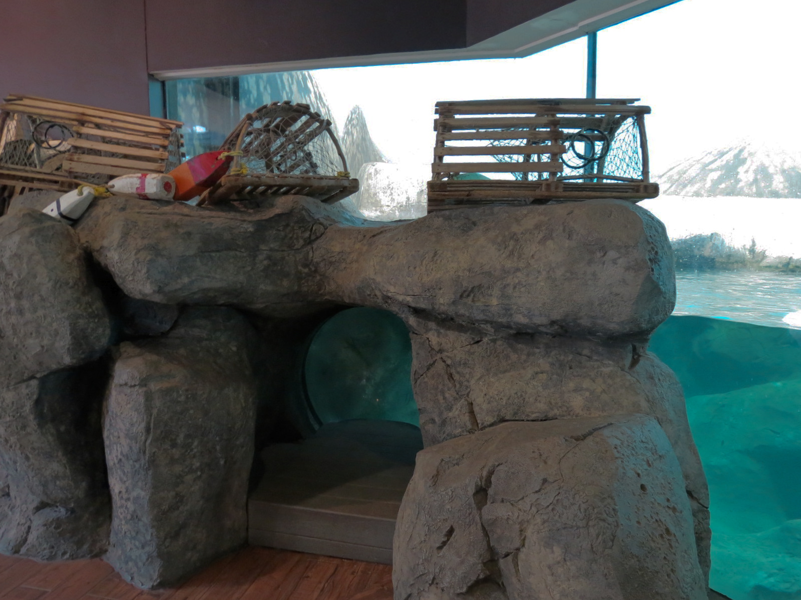 Birdhouse - Penguin Coast Exhibit