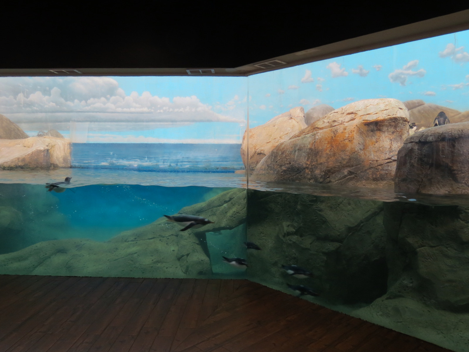 Birdhouse - Penguin Coast Exhibit