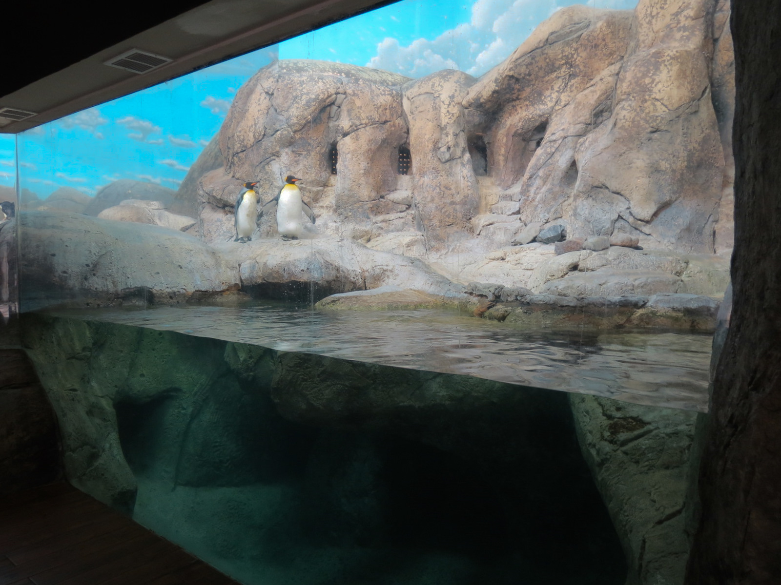 Birdhouse - Penguin Coast Exhibit