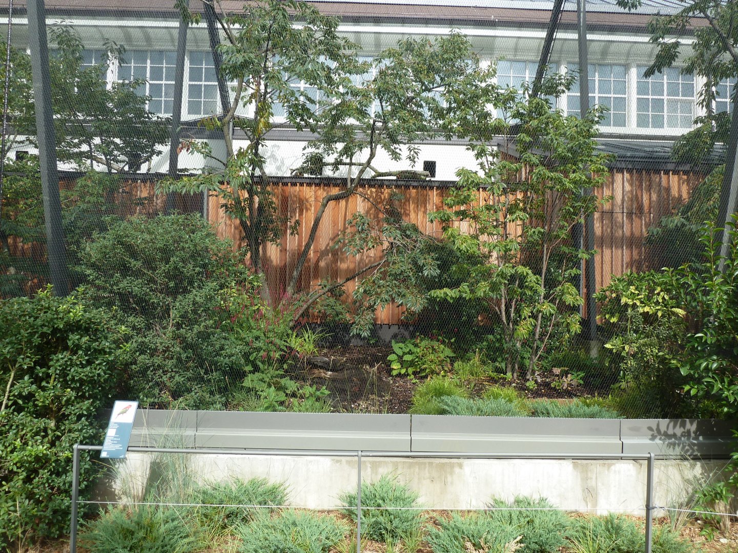Birdhouse - Purple-naped Lory aviary