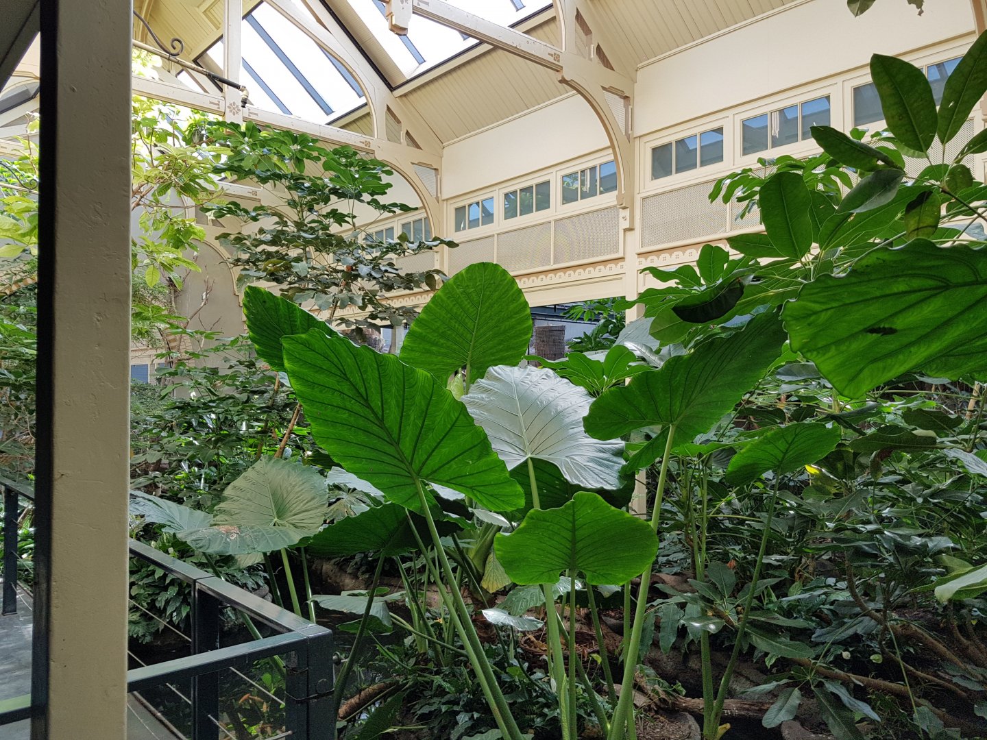 Birdhouse - Rainforest