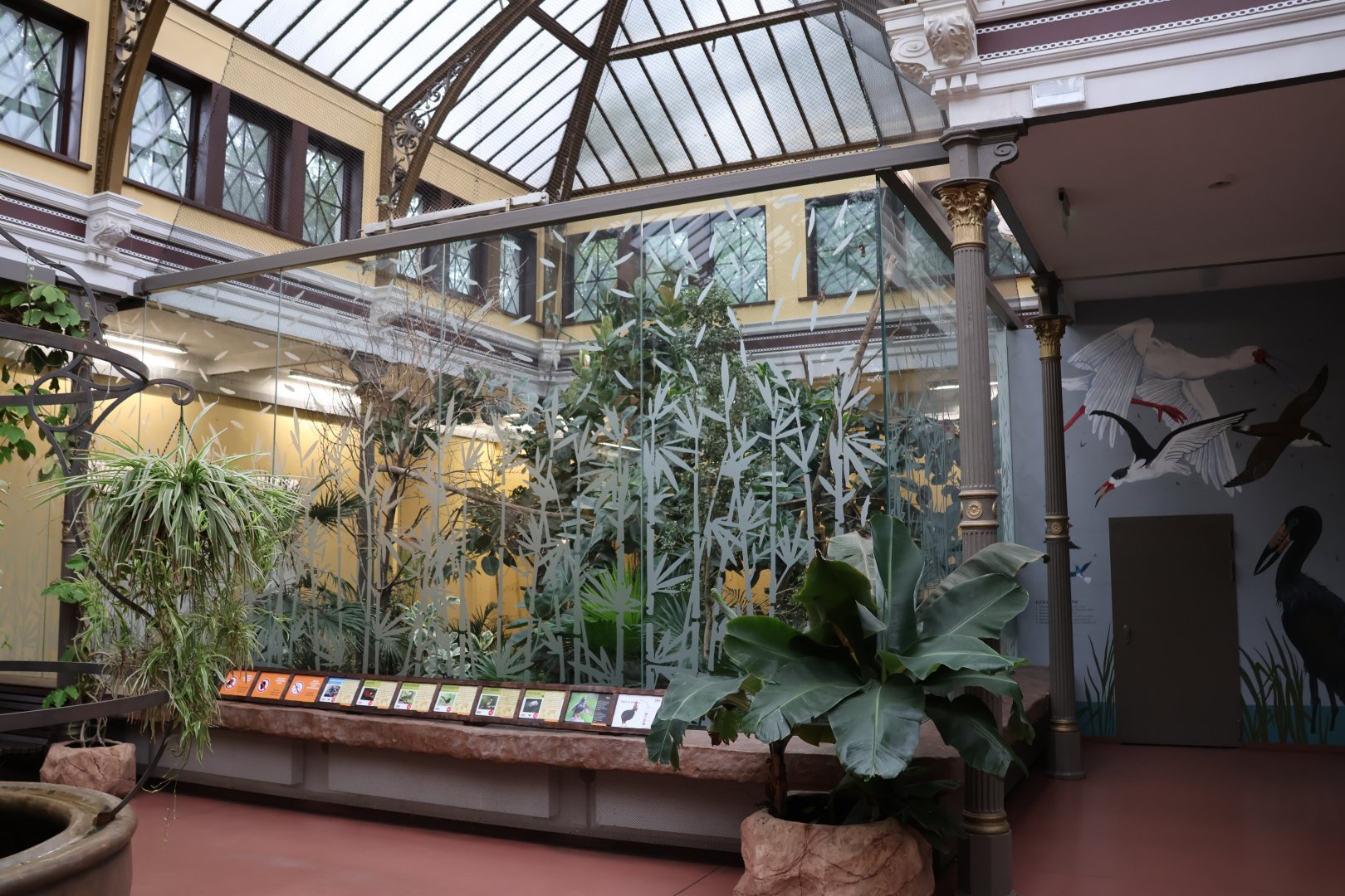 Birdhouse - rightwinged aviary (Southeast Asia)