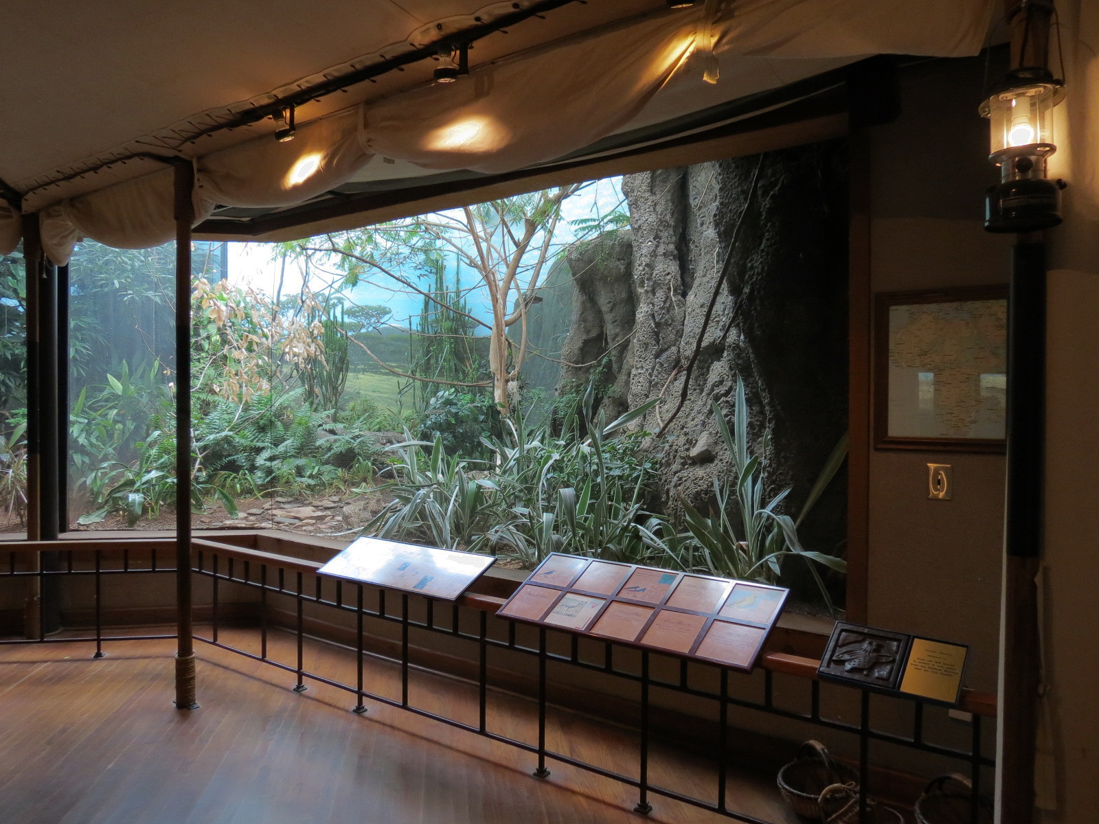 Birdhouse - Savanna Camp - African Birds Exhibit