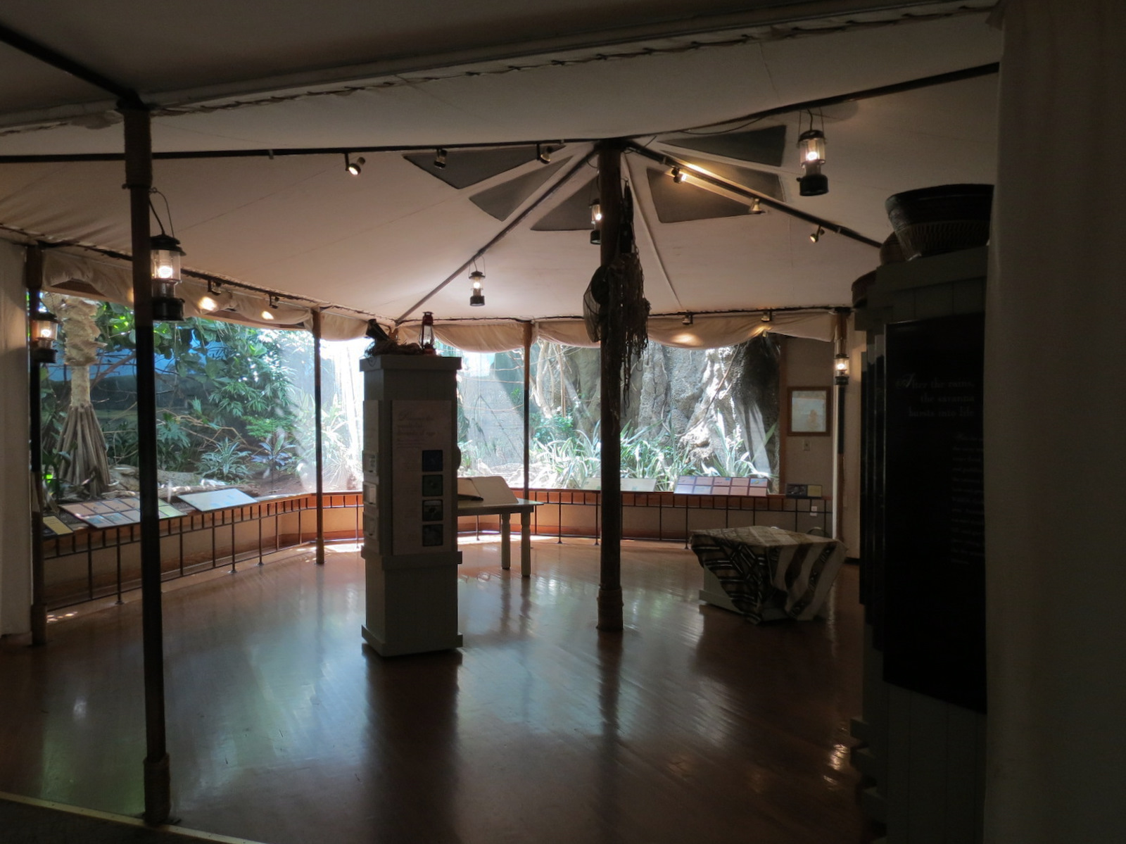 Birdhouse - Savanna Camp - Viewing Area