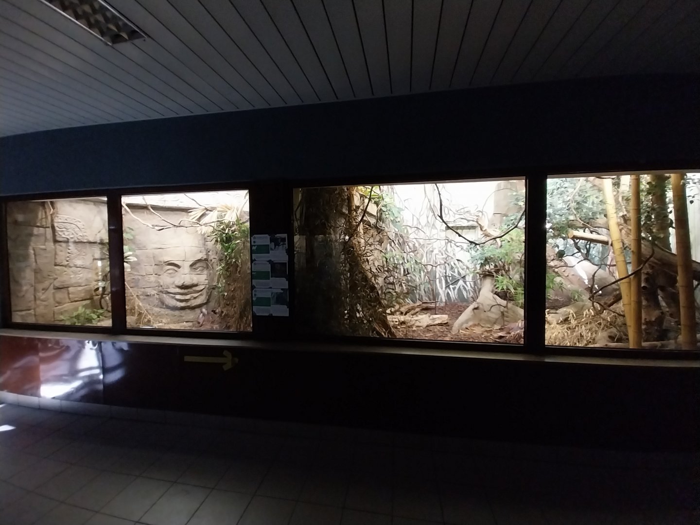 Birdhouse - Southeast Asia aviary