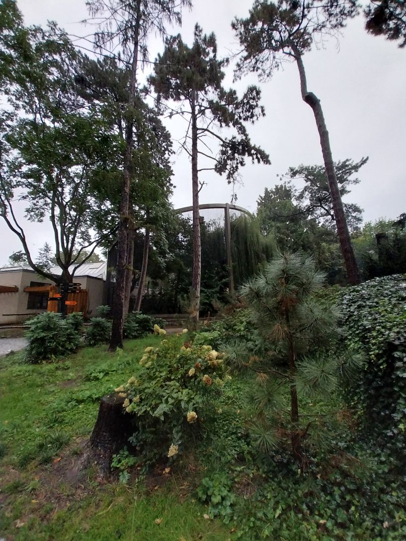 Birdhouse - Steller's sea eagle aviary