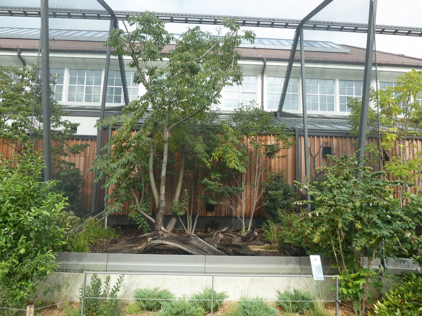 Birdhouse - Sumatran Laughingthrush aviary