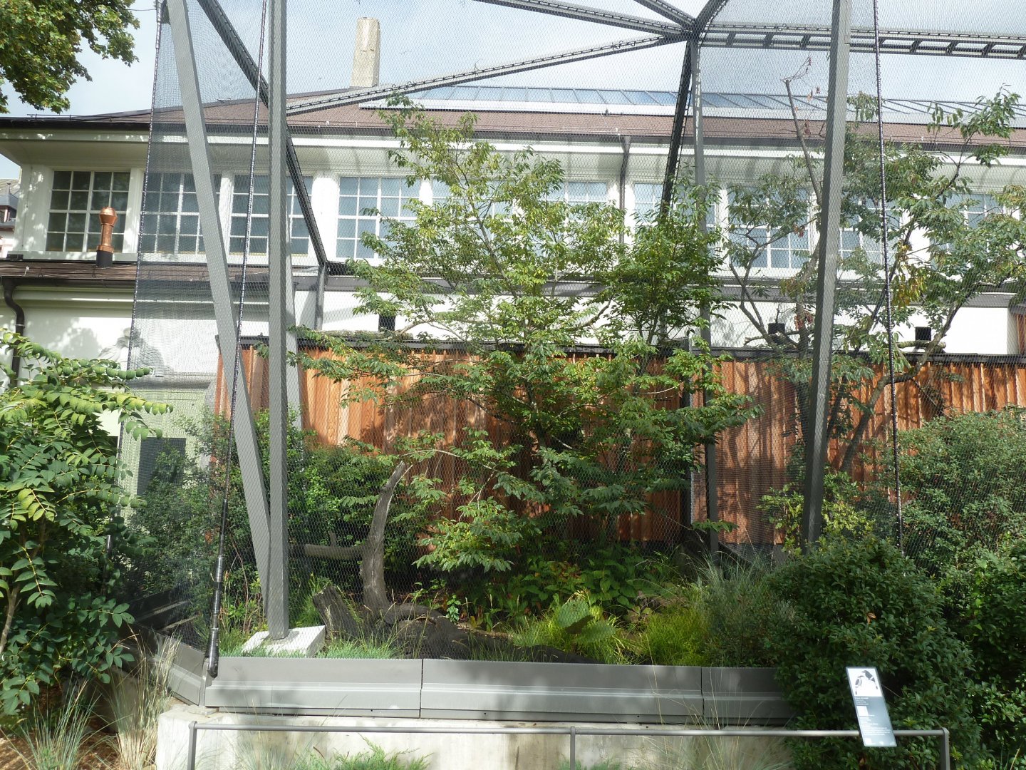 Birdhouse - Visayan Hornbill aviary