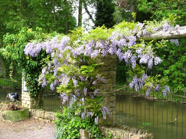 Birdland Park & Gardens 19.05.2007